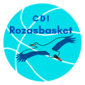 CDIR Logo